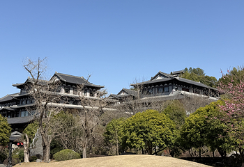 根宫佛国文化旅游区第 35 张图片