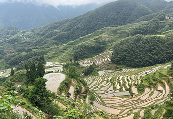 云和梯田景区第 61 张图片