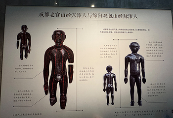 成都博物馆第 110 张图片