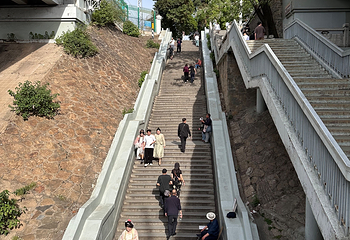 黄鹤楼第 329 张图片