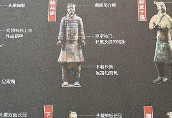 秦始皇帝陵博物院(兵马俑)第 575 张图片
