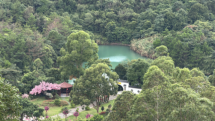 观音山旅游风景区第 202 张图片