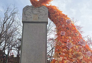 老君山景区第 181 张图片