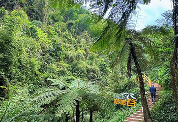 僰王山第 32 张图片