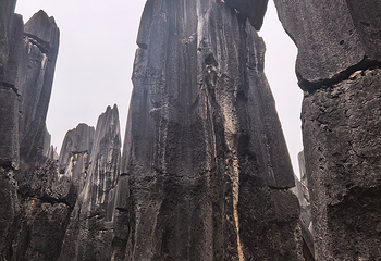 石林风景区第 266 张图片