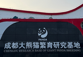 成都大熊猫繁育研究基地第 582 张图片