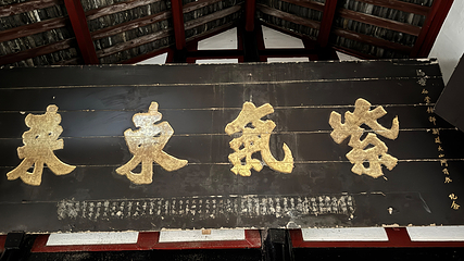 青城山第 255 张图片