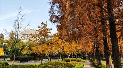 武汉大学-珞珈广场第 1 张图片