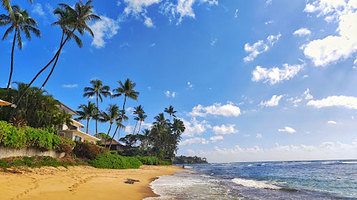 钻石头海滩公园