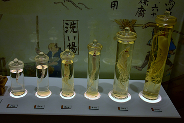 由志园第 27 张图片