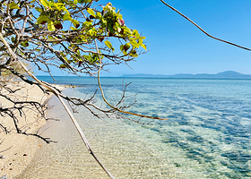 Calypso Reef Cruises