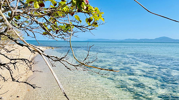 Calypso Reef Cruises