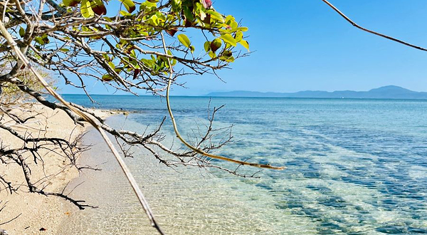 Calypso Reef Cruises