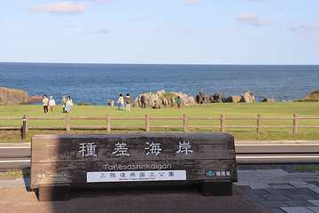 种差海岸第 20 张图片