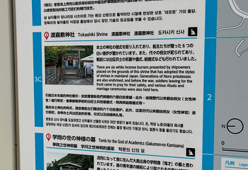庆良间诸岛第 22 张图片