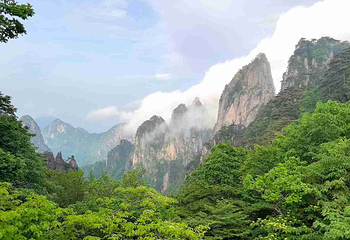 黄山风景区第 80 张图片