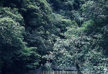 鹤峰屏山旅游景区第 72 张图片
