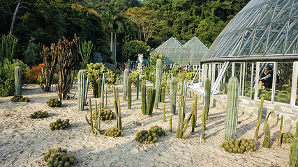 仙湖植物园第 14 张图片