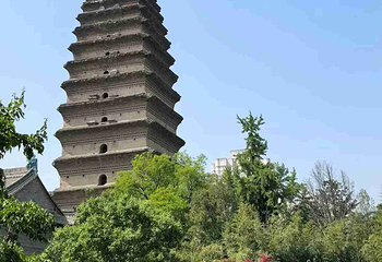 小雁塔遗址公园第 55 张图片