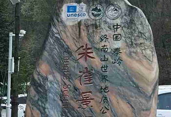 朱雀国家森林公园第 44 张图片