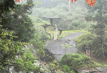南岳衡山风景名胜区第 36 张图片