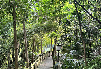 鸿恩寺公园第 67 张图片