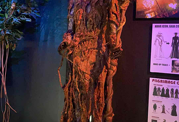 新加坡环球影城第 600 张图片