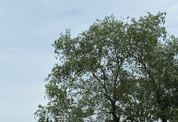 巴陵广场第 136 张图片