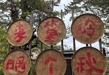 婺源篁岭景区第 147 张图片