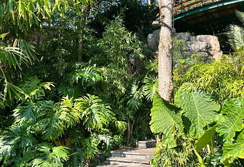 湖泉半山温泉第 22 张图片