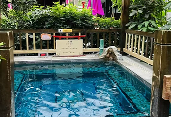 颐园温泉第 40 张图片