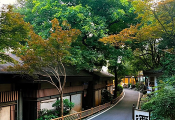 岳麓山第 45 张图片