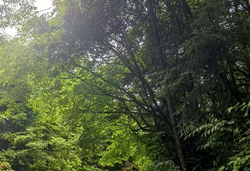 官鹅沟大景区第 67 张图片