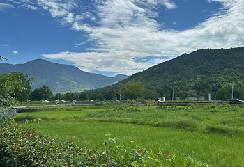 宏村景区第 567 张图片