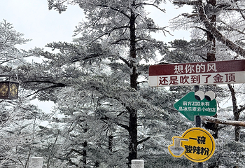 峨眉山第 280 张图片