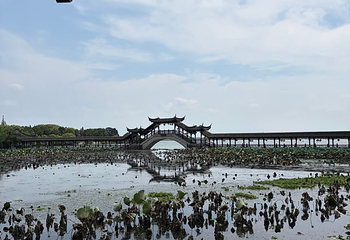 锦溪古镇第 113 张图片