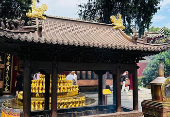 广仁寺第 98 张图片
