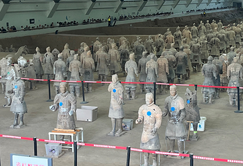 秦始皇帝陵博物院(兵马俑)第 448 张图片