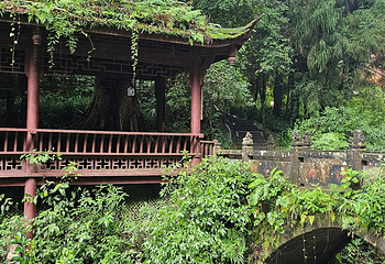 青城山第 354 张图片