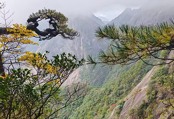 黄山风景区第 183 张图片