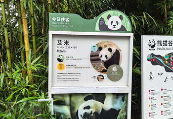 熊猫谷第 43 张图片