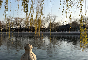 什刹海风景区第 243 张图片