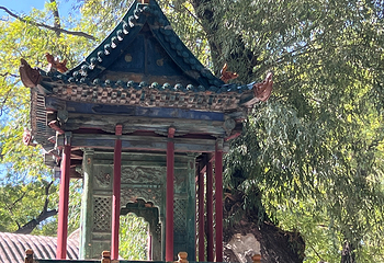 晋祠博物馆第 419 张图片