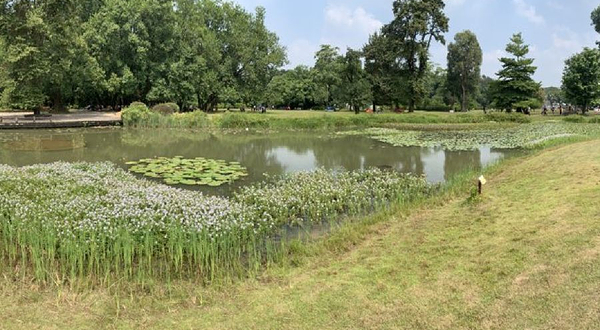 高山/极地植物室