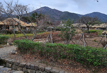 乐安邑城民俗村第 22 张图片