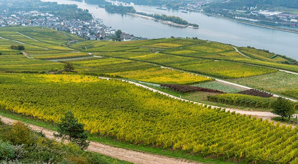 Rüdesheimer Seilbahngesellschaft - Bergstation