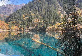 九寨沟风景区第 364 张图片