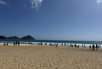 南湾猴岛生态旅游区第 107 张图片