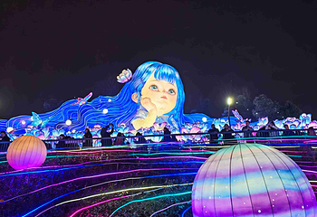 自贡·中华彩灯大世界第 44 张图片