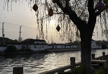 虎丘山风景名胜区第 263 张图片